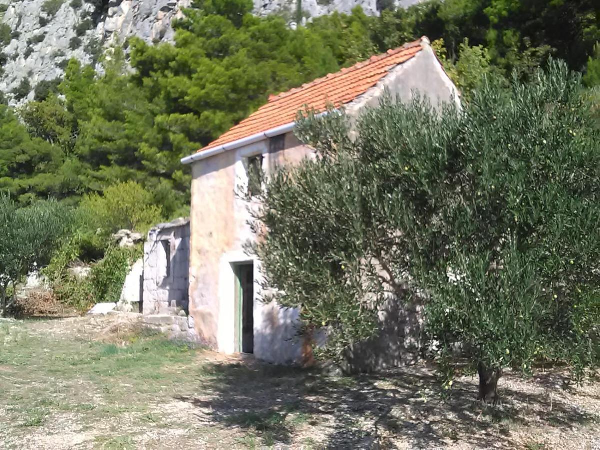 Ferienwohnung Zorana Mimice Exterior foto